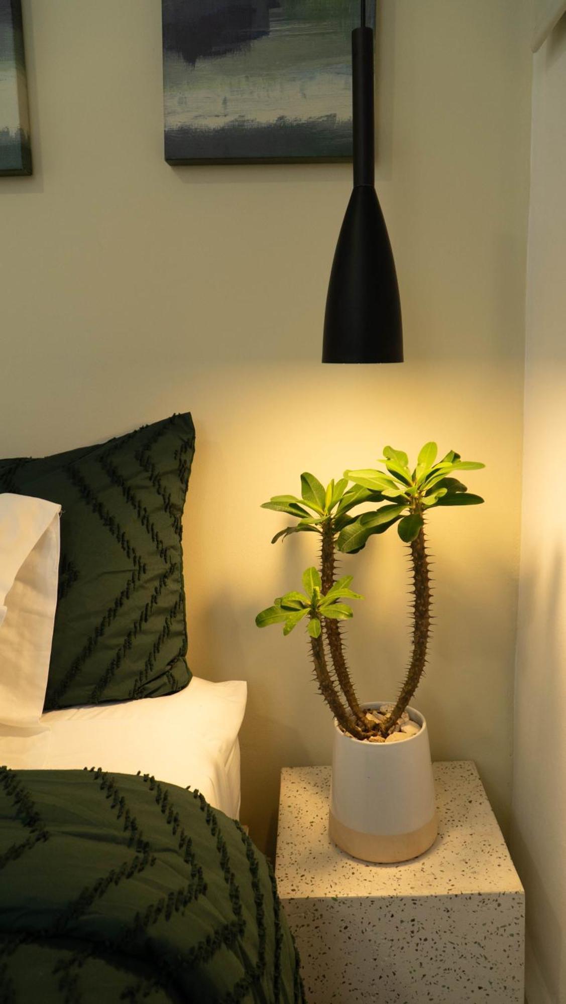 Hotel Ventura Quesada  Eksteriør bilde